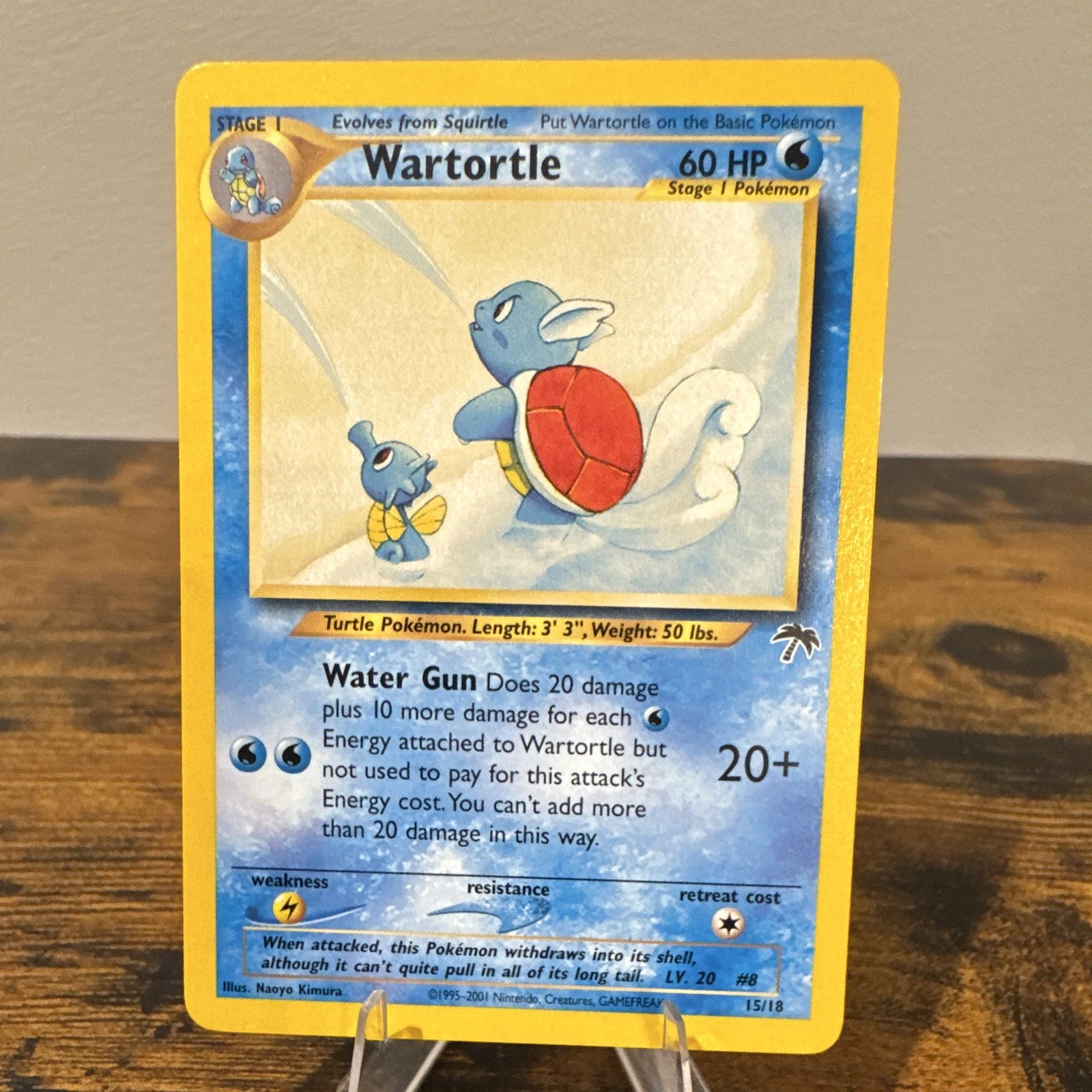 Wartortle Southern Islands #15