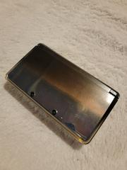Nintendo 3DS Development Kit Panda (Nintendo 3DS)