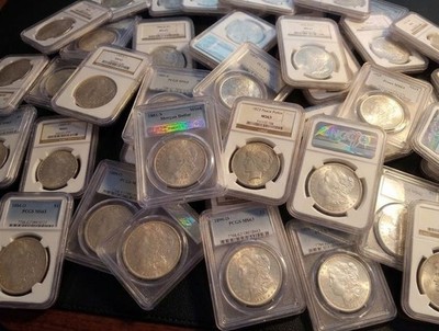 11 Certified Coins Morgan Silver Dollar *PCGS NGC * O, S, P - BU MS UNC