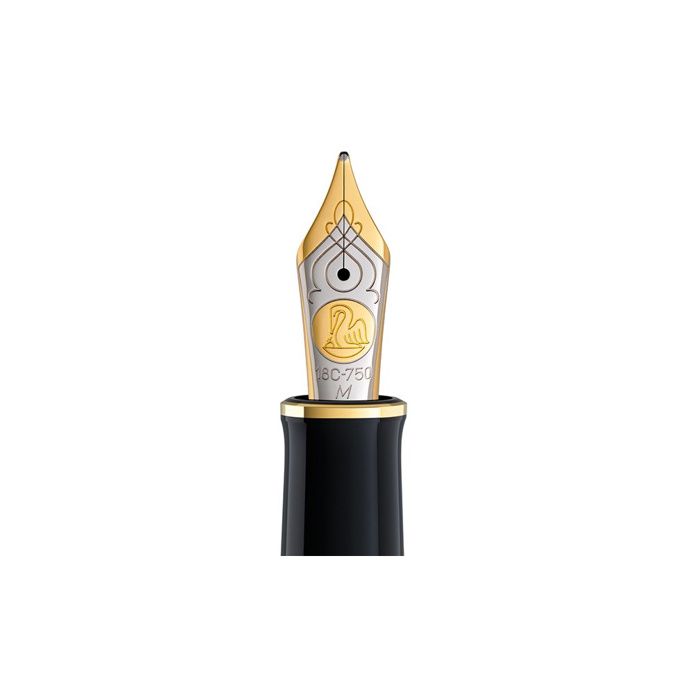 Pelikan M800 18C-750 Two-Tone Nib