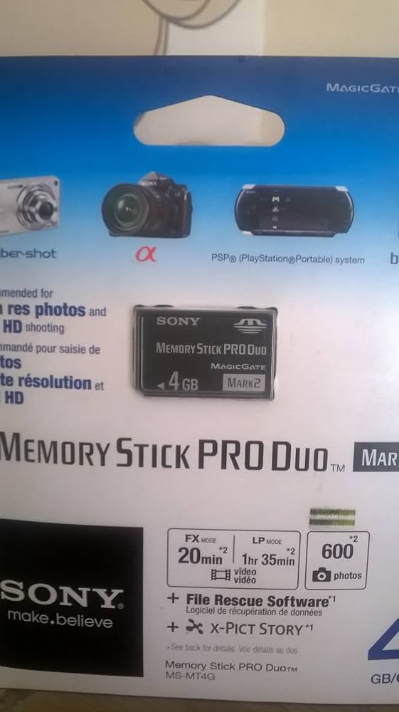4GB PSP Memory Stick Pro Duo (PSP)