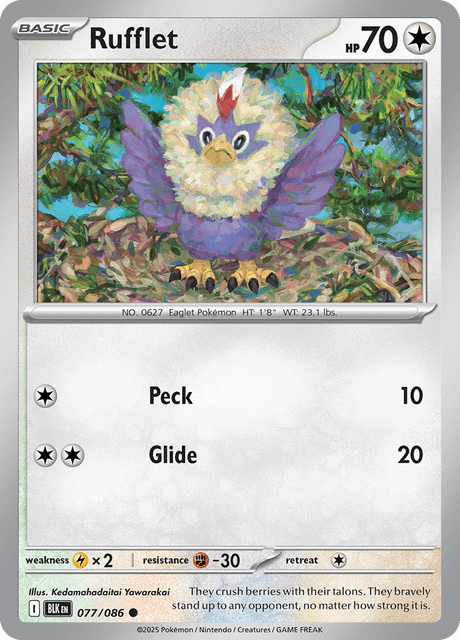 Rufflet (Black Bolt) #77